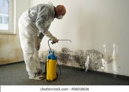 Best Environmental Consulting for Mold Prevention  in Menomonie, WI